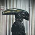 z5363073409474_1d59bb2de79ce24d8328d75192ec1beb.jpg Alien Xenomorph Head Decor Wearable Cosplay