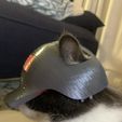 IMG_0285.jpg Cat War Helmet