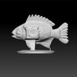 fi1.jpg Fish - beauty fish - Decorative fish