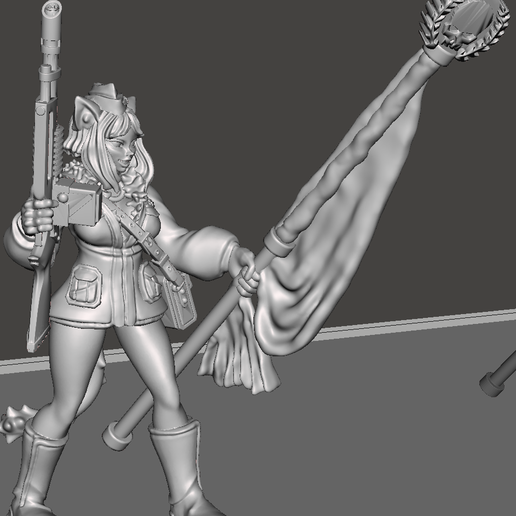Furled Banner