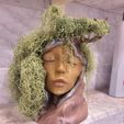 WhatsApp-Bild-2025-03-22-um-11.34.59_cc78cbef.jpg Tree Elf
