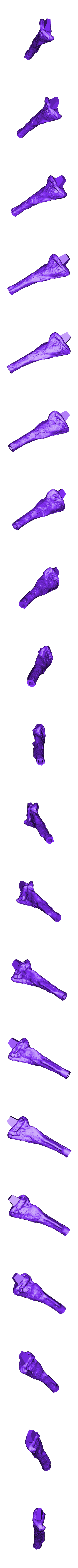 Tibia_Left_Part_01.OBJ Scheletro di piccolo T-rex a grandezza naturale - Parte 03/10