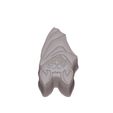 318836997_552260156410536_2481714434536693066_n-1.jpg Hanging Bat STL FILE FOR 3D PRINTING - LASER CNC ROUTER - 3D PRINTABLE MODEL STL MODEL STL DOWNLOAD BATH BOMB/SOAP
