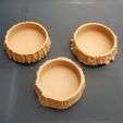 3D Scanned Tree Texture - Oak, Birch, and Pine Plant Coasters 1000.jpg Free STL file 3D Scanned Birch Tree Texture - For Functional and Decorative Items・3D printable model to download