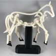 bdc9849ff069561eb6a8542a9a268a79_preview_featured.jpg Horse, Prototype