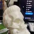 COLECCIÓN BEARD SKULL - Nº1