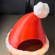 IMG_2352.jpeg Santa Cat Hat #2 🎅