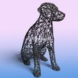 labrador-8.jpg Wired Labrador - 3D Wire Art