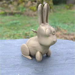 Cute Rabbit