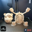 PATREON-4.png TEDDY BEAR SKELETON DECOR - NO SUPPORTS