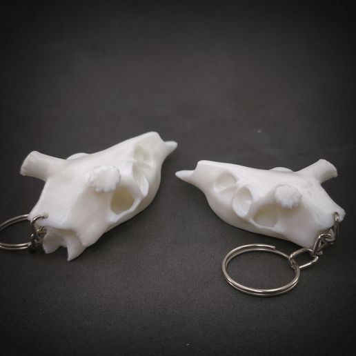 IMG_20241018_004445.jpg Halloween Deer Skull Keychain