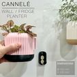 CANNELE_OnFridge_hooking.jpg CANNELÉ  |  Wall / Fridge Planter