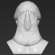 6.jpg Geralt of Rivia The Witcher Cavill bust 3D printing ready