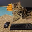 IMG_20230322_190249.jpg tiny keyboard and mouse for  cat mini clavier et souris pour chat (solid)