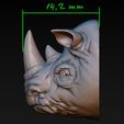 12.jpg Rhino head