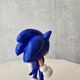 20251112_110228.jpg Sonic