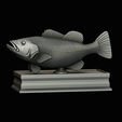 Peacock-Bass-statue-box-1-2-15.png fish Peacock bass (Cichla ocellaris) fish in motion base box for 3D printing