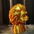 1747326512970.jpg Busto Educativo Albert Einstein - 4 Colores AMS/STL | Ciencia STEM Icono Figurilla