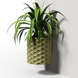 HEX-Collection_10.png HEX Collection - Planter Set