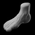 Foot-Vase-Pen-Holder-Anatomy-Pie-Moad-STL-4.jpg Foot Vase Vase - Foot Penholder - Pies Pies Macetero - Anatomical Sculpture