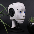 71455af4-d479-4287-9d33-db299d52ab00.PNG EZ-inMoov Robot Head