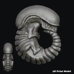 Alien_Chibi_Render0.jpg Fichier STL Embryon d'alien Xenomorph・Design pour imprimante 3D à télécharger, InfinityModels