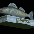 zander-statue-4-open-mouth-1-21.png fish zander / pikeperch / Sander lucioperca  open mouth statue detailed texture for 3d printing