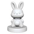 Rabbit.jpg Rabbit