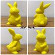 3.jpg Springy Rabbit (2)