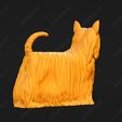 590-Australian_Silky_Terrier_Pose_02.jpg Australian Silky Terrier Dog 3D Print Model Pose 02