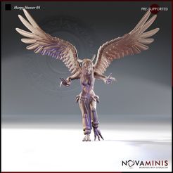 REN-007-Dec23-R38-Harpy-Hunter-05-PAT-SM-STORE.jpg Harpy Hunter 05
