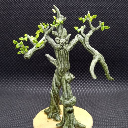 20220821_202636.jpg Beech treent