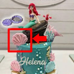 almeja-foto.jpg STL file Cutting seashell - marker and reverse marker・Model to download and 3D print