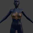 Screenshot-2025-08-20-133131.png Hylian Bra Armor