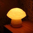 08.jpg Table lamp “Edulis Fungus” organic
