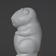 Cuy02.png Морская свинка, Морская свинка