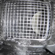 water-in-vent.png Tesla Model 3 Mold/Mildew Air Filter Fix