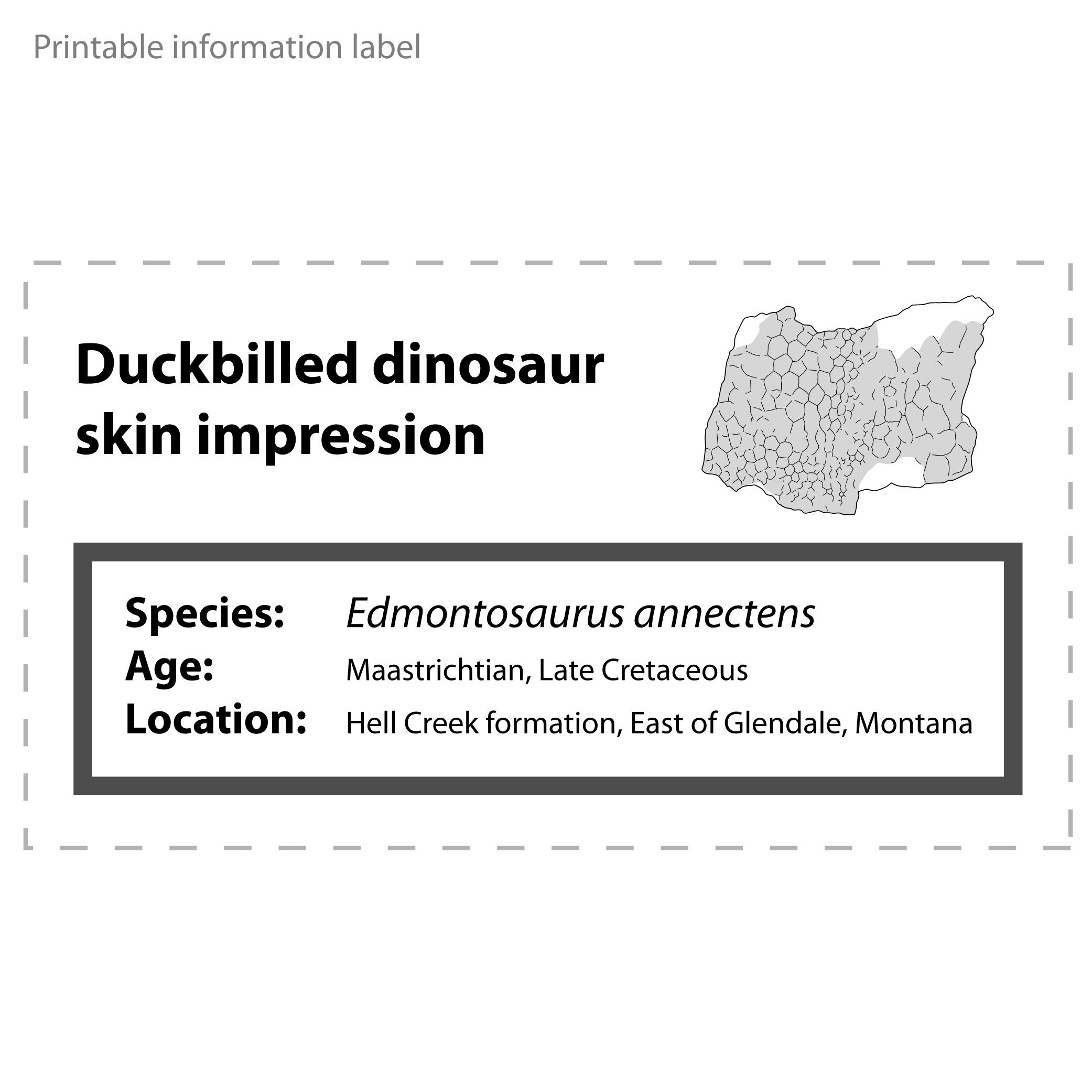 Edmonto_skin_label.jpg Fichier STL Impression de la peau du dinosaure Hadrosaur・Modèle à télécharger et à imprimer en 3D, LordTrilobite