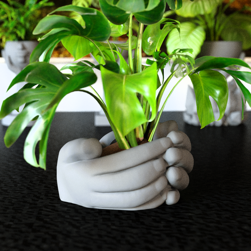 Hands holding flower pots