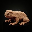 Giant-toad-(1).jpg Frogfolk: Full Collection (Discount)