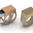 3.jpg Secret Compartment Ring 2 in 1 3D print model