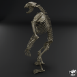 Arctodus-skeleton-4.png Arctodus simus - short faced bear skeleton 3D print model