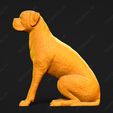 2522-Boxer_Pose_04.jpg Boxer Dog 3D Print Model Pose 04