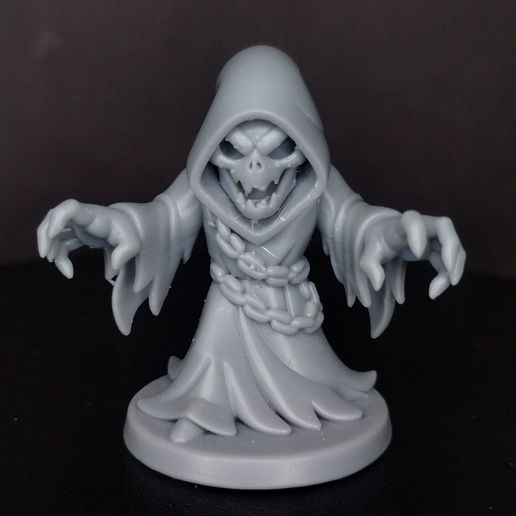IMG_20250809_001928029_HDR.jpg Chibi Creatures - Wraith 3D Print Figure