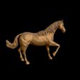 26.jpg American Quarter Horse model 3D print model