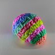 IMG_5484.jpg Trippy Brain