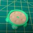 IMG_1495.jpg Magnetic Turtle Fidget