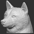 2.jpg Doge meme Shiba Inu head for 3D printing
