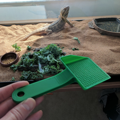 Capture d’écran 2017-03-17 à 19.03.42.png Small poop scoop for reptile habitat