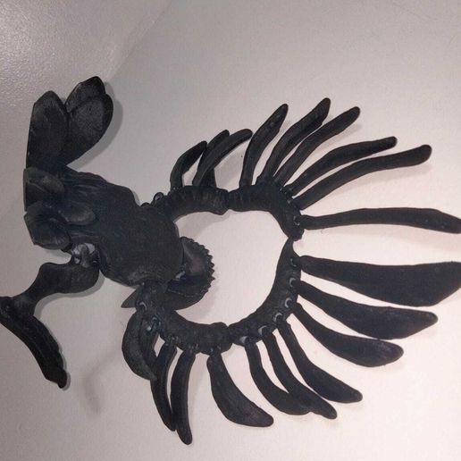 WhatsApp-Image-2023-09-16-at-18.41.46-3.jpeg Raven Crow Skull Flexi